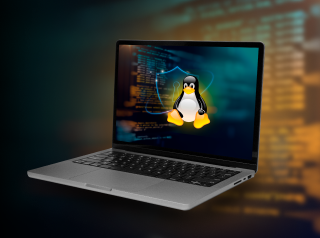 AI EdgeLabs Defend, Detect, Dominate: Your Linux-Based Unified Security